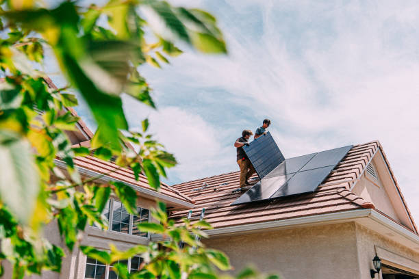 Best Roof Gutter Cleaning  in Whitney Point, NY